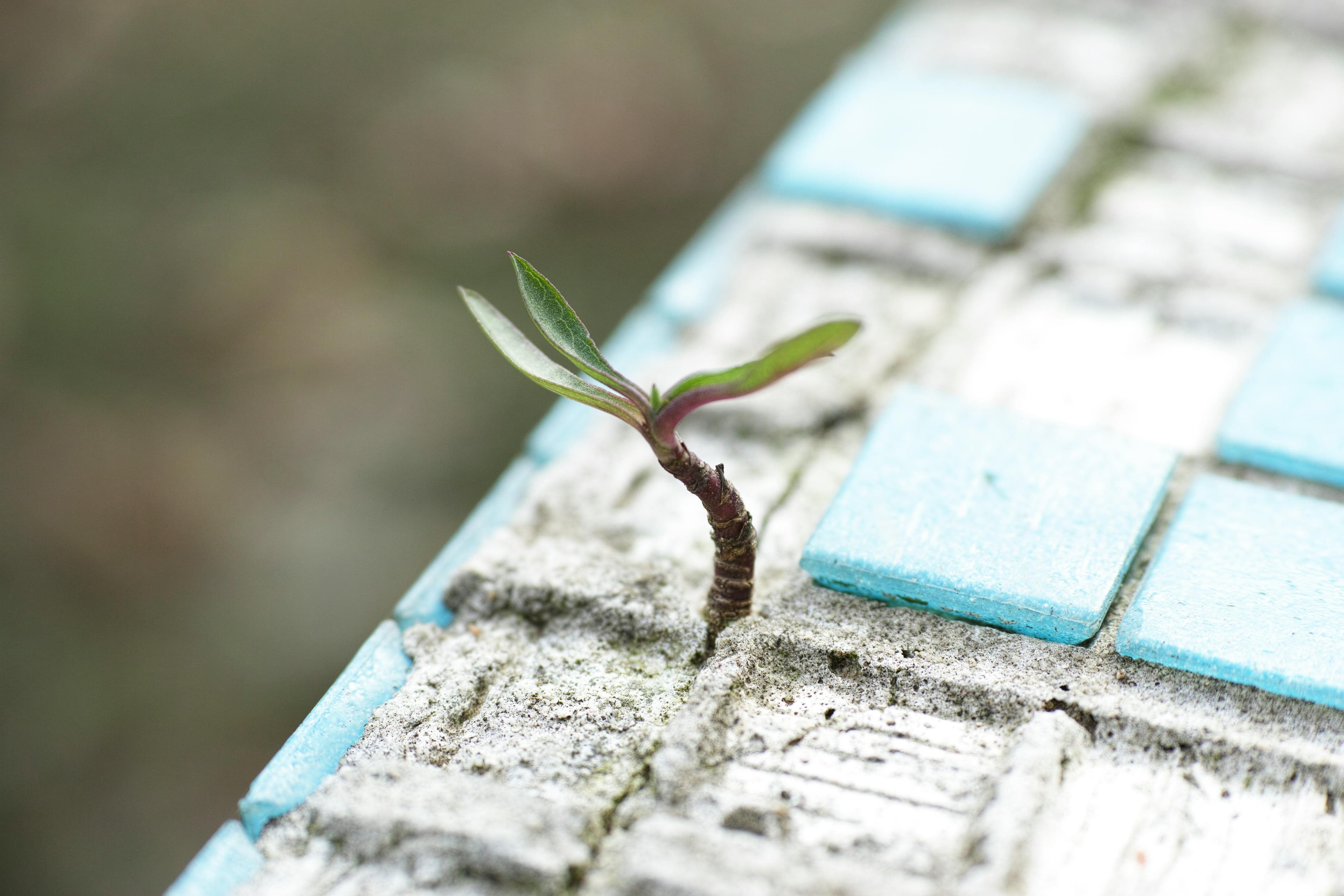 Empowering breakthrough strategies to redesign your life's trajectory and success.